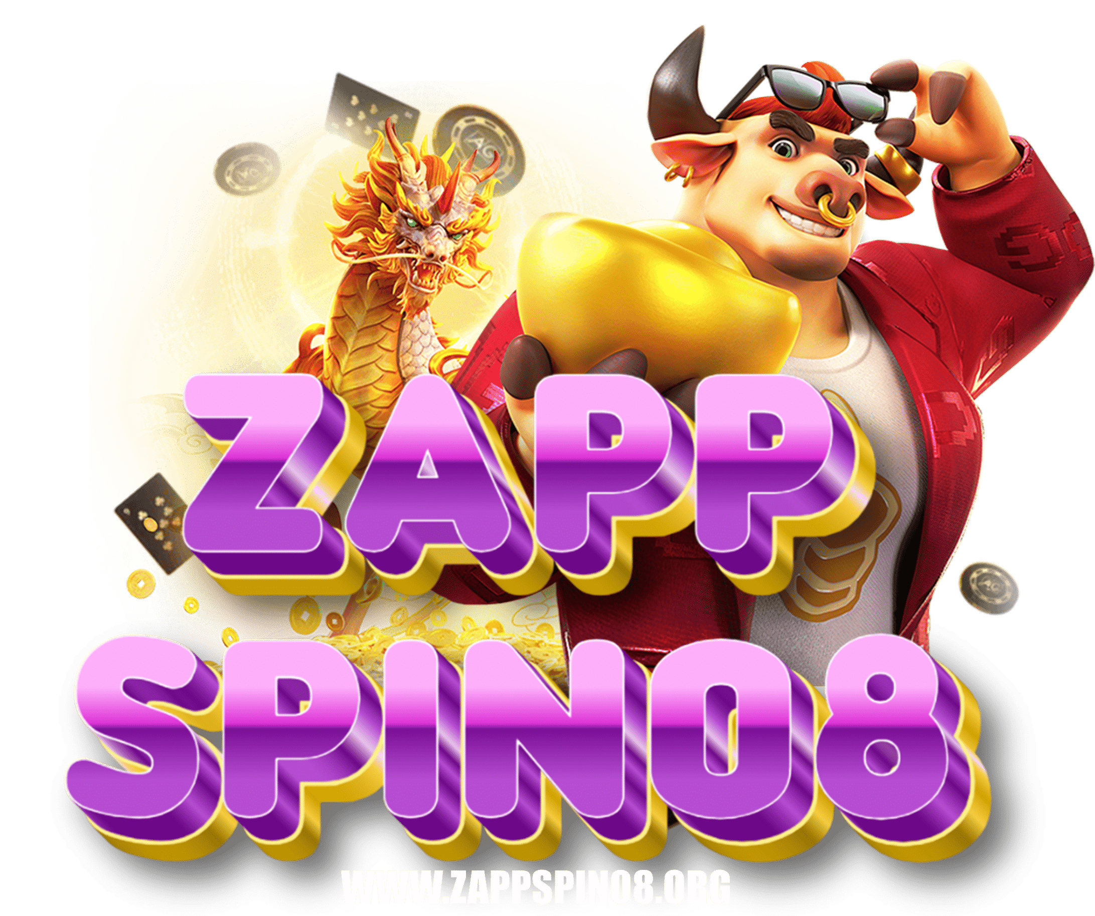zappspin08